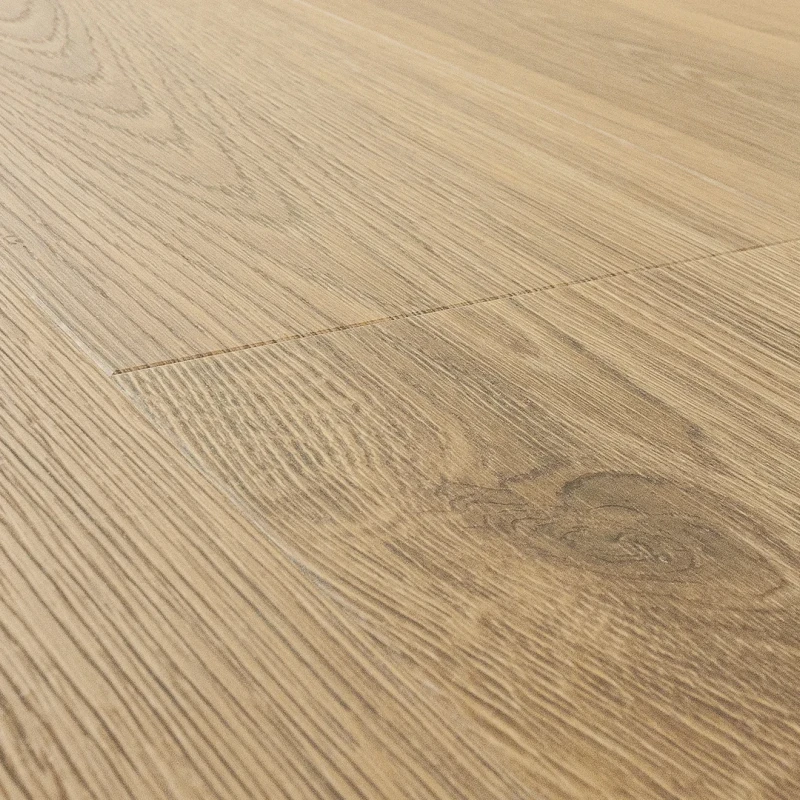 Stejar Cinnamon photo9